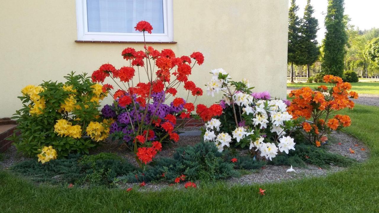 Pokoje Goscinne Przylesie Łobez Exteriör bild